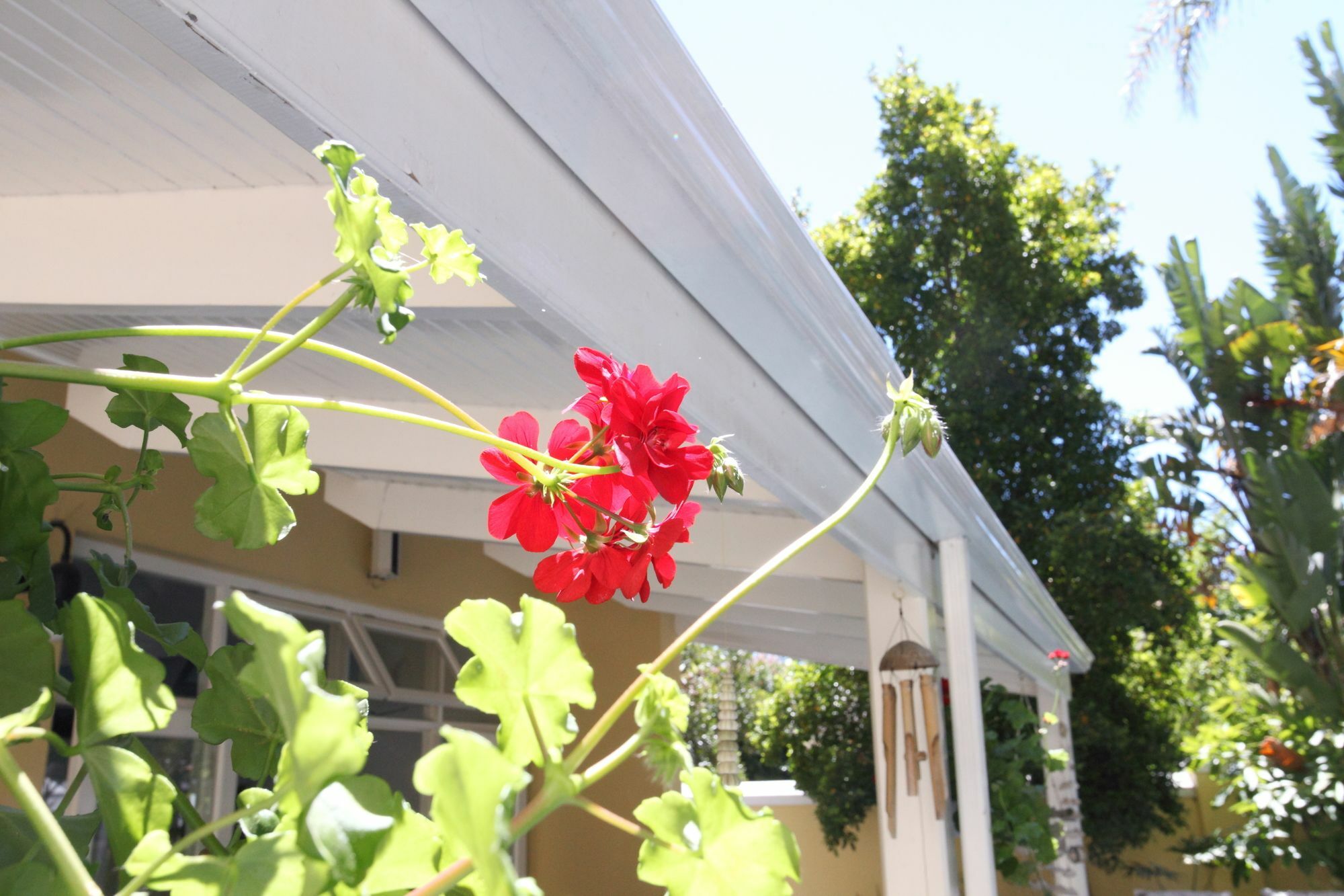 Hunneyball House Stellenbosch Zewnętrze zdjęcie